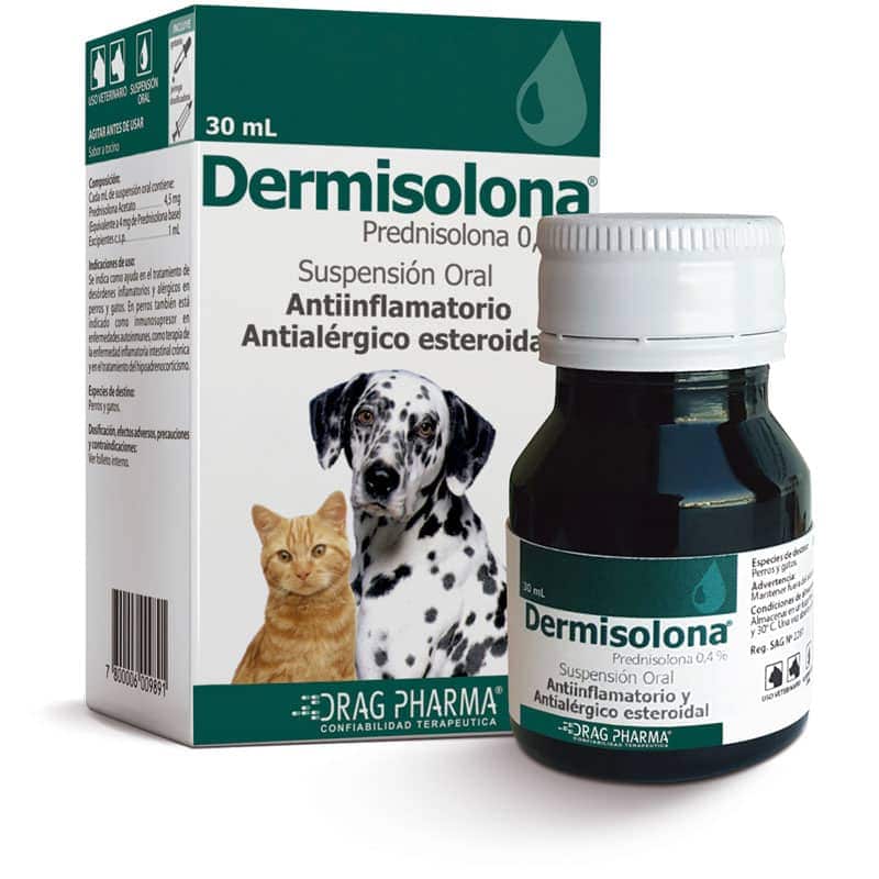 Dermisolona Suspensión Oral – Antiinflamatorio Esteroidal y Antialérgico