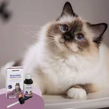 Nutravet Hepatico para Gatos 50 ml - Nutravet