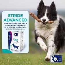 Stride Advanced Canino – Suplemento Líquido para Salud Articular de Perros